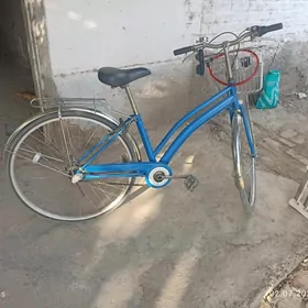 velik yapoşka 27