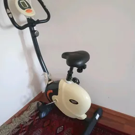 sport tigir