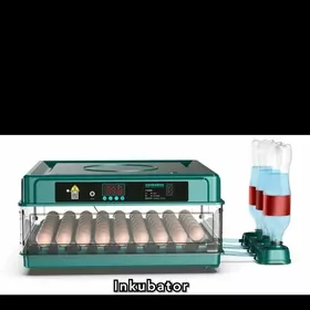 inkebator owtomat