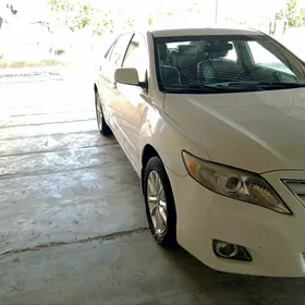 Toyota Camry 2010