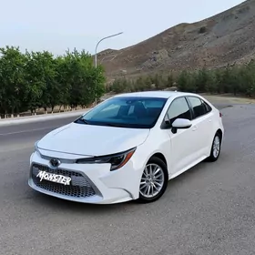 Toyota Corolla 2020