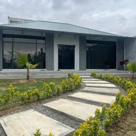 Arenda planjay kreyine аренда