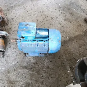 elektira mator