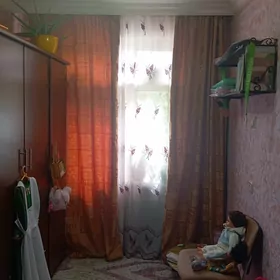 занеси