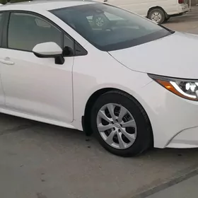 Toyota Corolla 2022