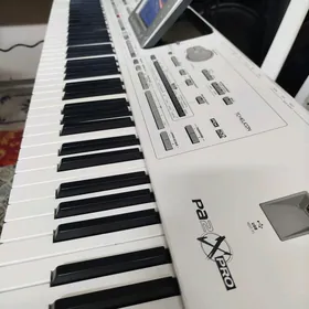KORG PA2X PRO