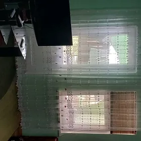 Mir 2