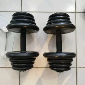 gantel