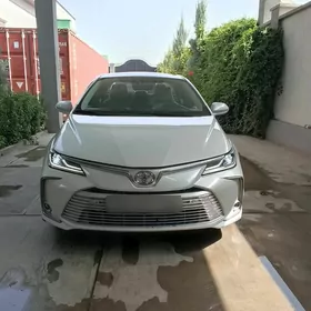 Toyota Corolla 2022