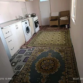 1nji mekir kemine