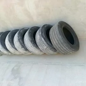 Pakrişka 385.55  22.5Razmer