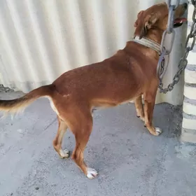 it