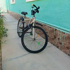 Welisped