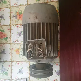 электродвигатель