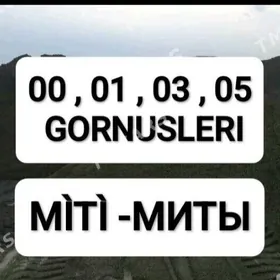 MITI SEMENT MYTY CAGE TOPRAK