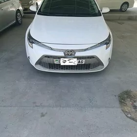 Toyota Corolla 2022