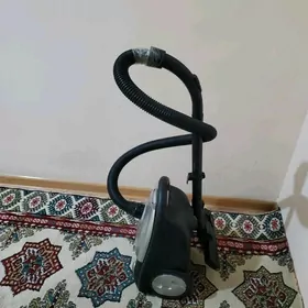 Plesos