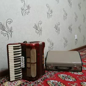 Akkardeon