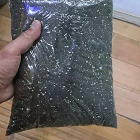 земля