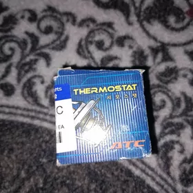 Termostat HYUNDAI