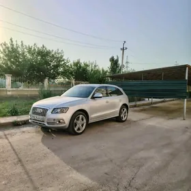 Audi Q5 2010