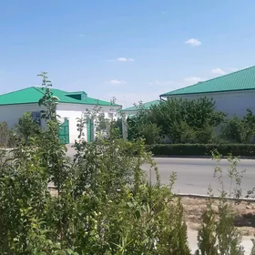 Taze Zaman ️тазе заман
