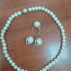 Kümüş komplekt
