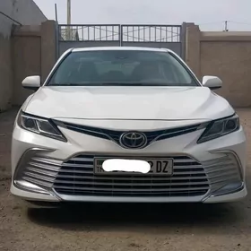Toyota Camry 2019