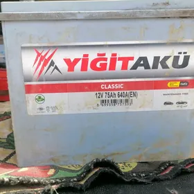 Yigit akum