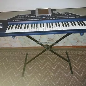 Korg Pa 800