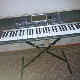Korg Pa900