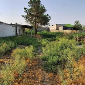 От Хозяина Чогонлы Дом участок