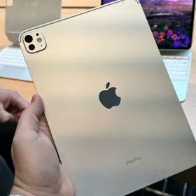 KREDIT 12 AÝ iPad PLANSETLER