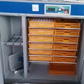 инкубатор inkubator