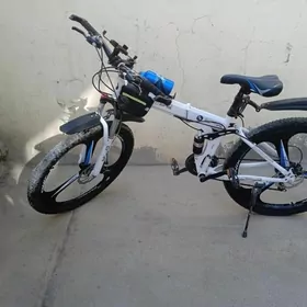 BMW TIGIR 
