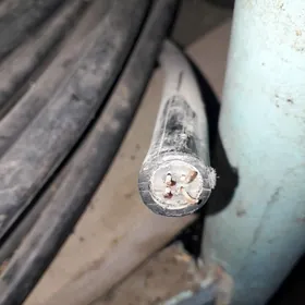 Kabel