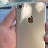 iPhone 7