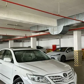 Toyota Camry 2010