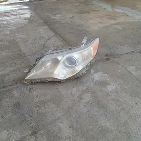 Palta camry fara