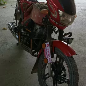 Fekon FK150-8G 2013