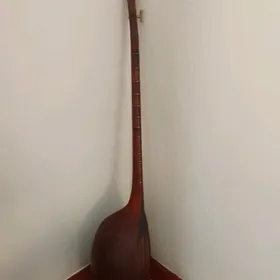 Satlyk dutar!