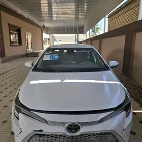 Toyota Corolla 2021