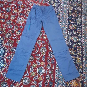 taze balak