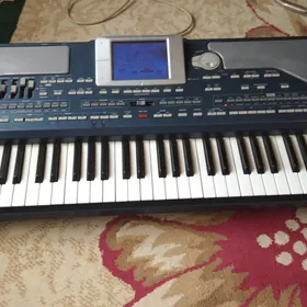 KORG PA 800