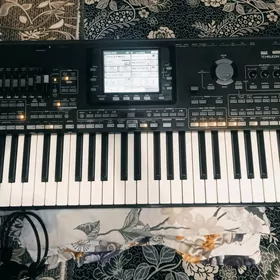 Korg Pa3 kicisi