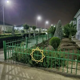 Taze zaman