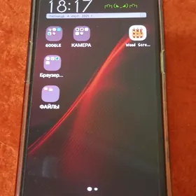 Y91C ViVO