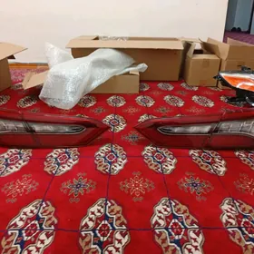 Camry 21-24 Haliji