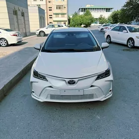 Toyota Corolla 2020