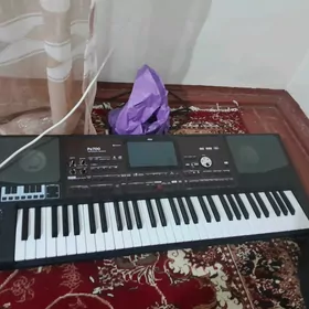 Korg pa 700 orental